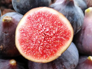 Figue fraîche