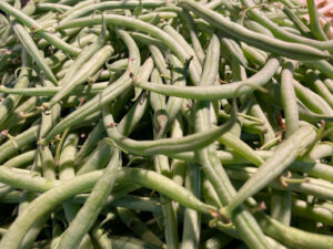 Haricots verts - ramassés main -