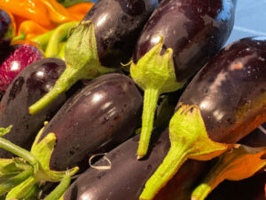 Aubergine