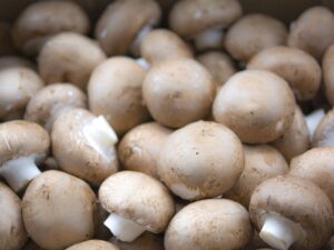 Champignon brun