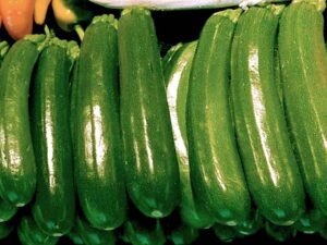 Courgette verte