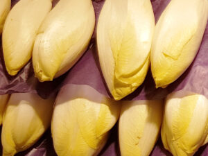Endive