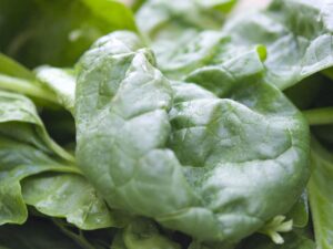 Épinard - Compter environ 300g / pers