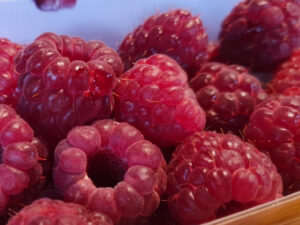 Framboise - barquette de 125g