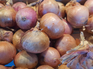 Oignon rose de Roscoof AOP