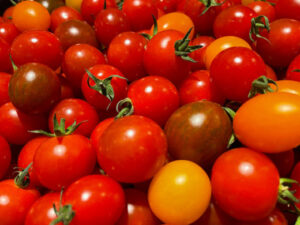 Tomates cerises