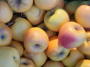 Pomme "Delbard estivale" - Croquante, juteuse et légèrement acidulée