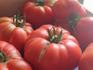 Tomate "Rose de bern" - Douce et très sucrées