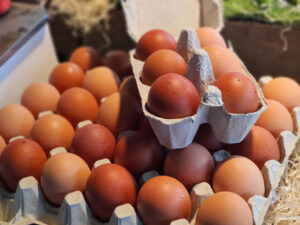 Œufs - boite de 6 - Code 0