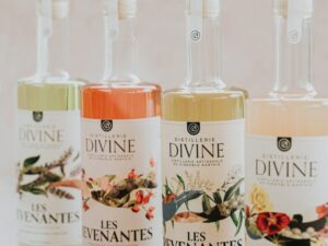 LIQUEUR LES REVENANTES - Verneine - 50cl - 30°