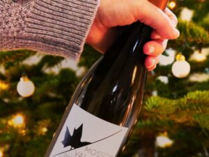 Mosson Valley River de la Jasse - 2021